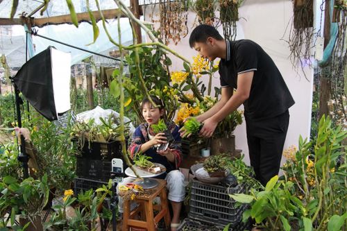 90后小伙解鎖電商密碼，云南龍陵花卉年銷突破千萬元